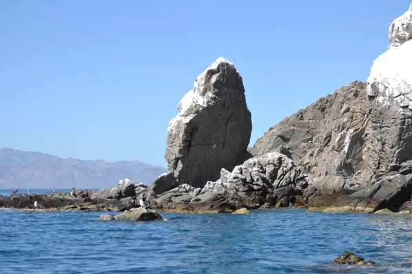 Isla Espíritu Santo — foto 7